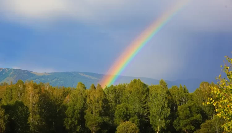 Por que os arco-íris sem chuva se formam? Entenda o fenômeno!