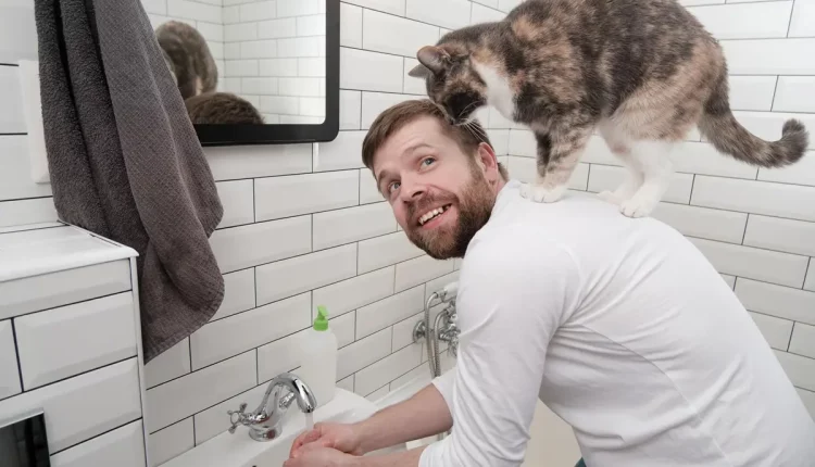 Por que os gatos seguem seus humanos no banheiro? Descubra os motivos!