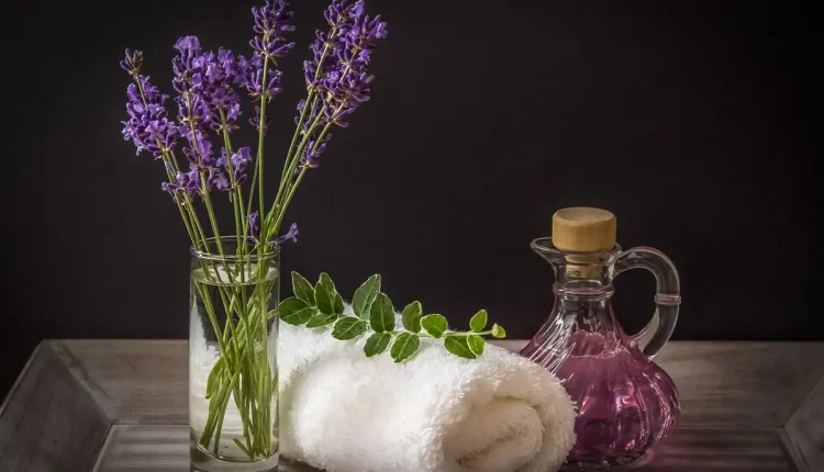 Plantas que ajudam a dormir: Lavanda