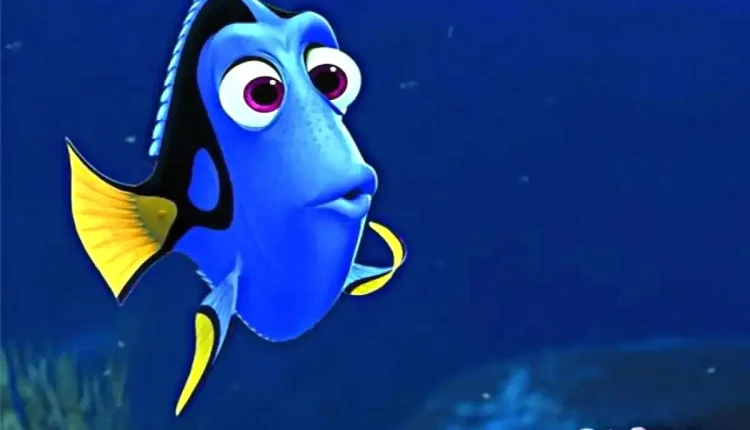 Qual peixe é a Dory de Procurando Nemo? Veja 5 fatos que você não sabia!