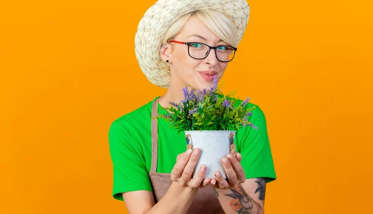 Plantas que cabem em qualquer lugar.