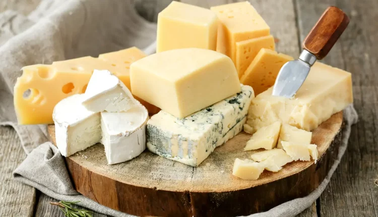 Tipos de queijos para quem tem intolrância à lactose.