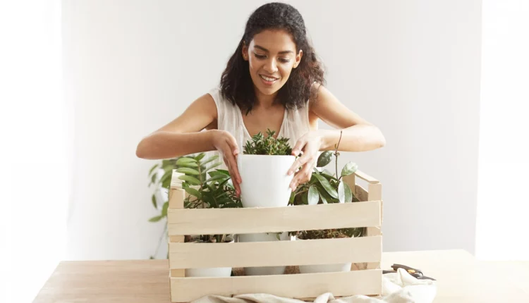 Mulher cuidando de planta.