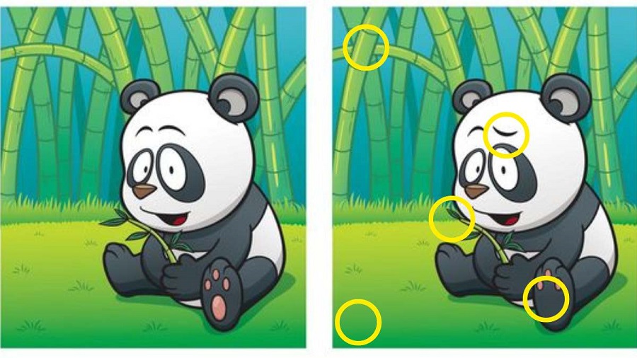 resposta teste pandas